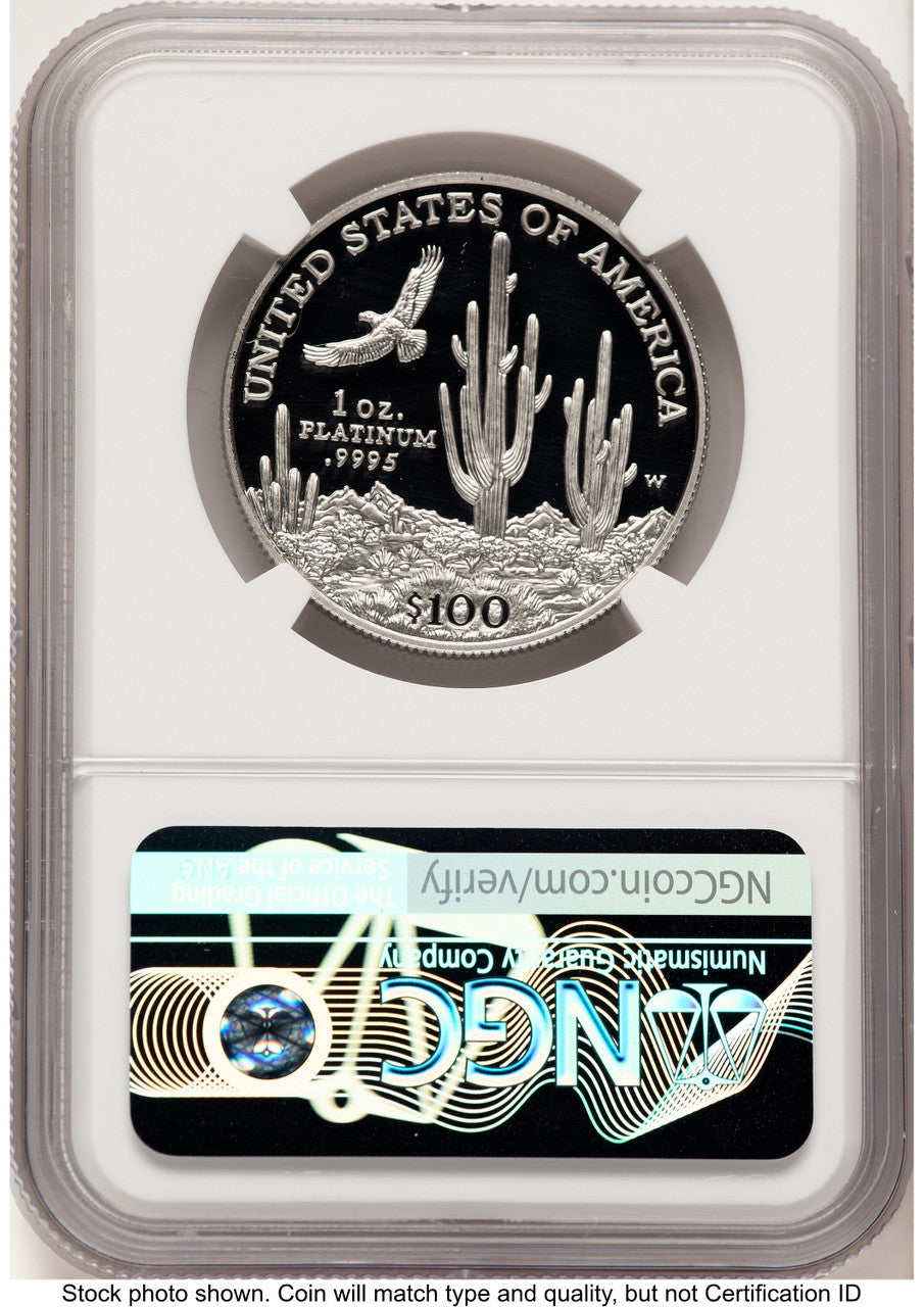 2001-W Proof Platinum Eagle 1 oz Brown Label NGC PF70