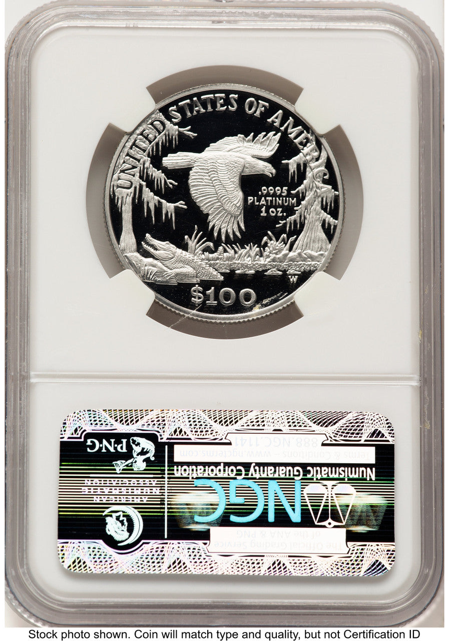 1999-W Proof Platinum Eagle 1 oz Brown Label NGC PF70