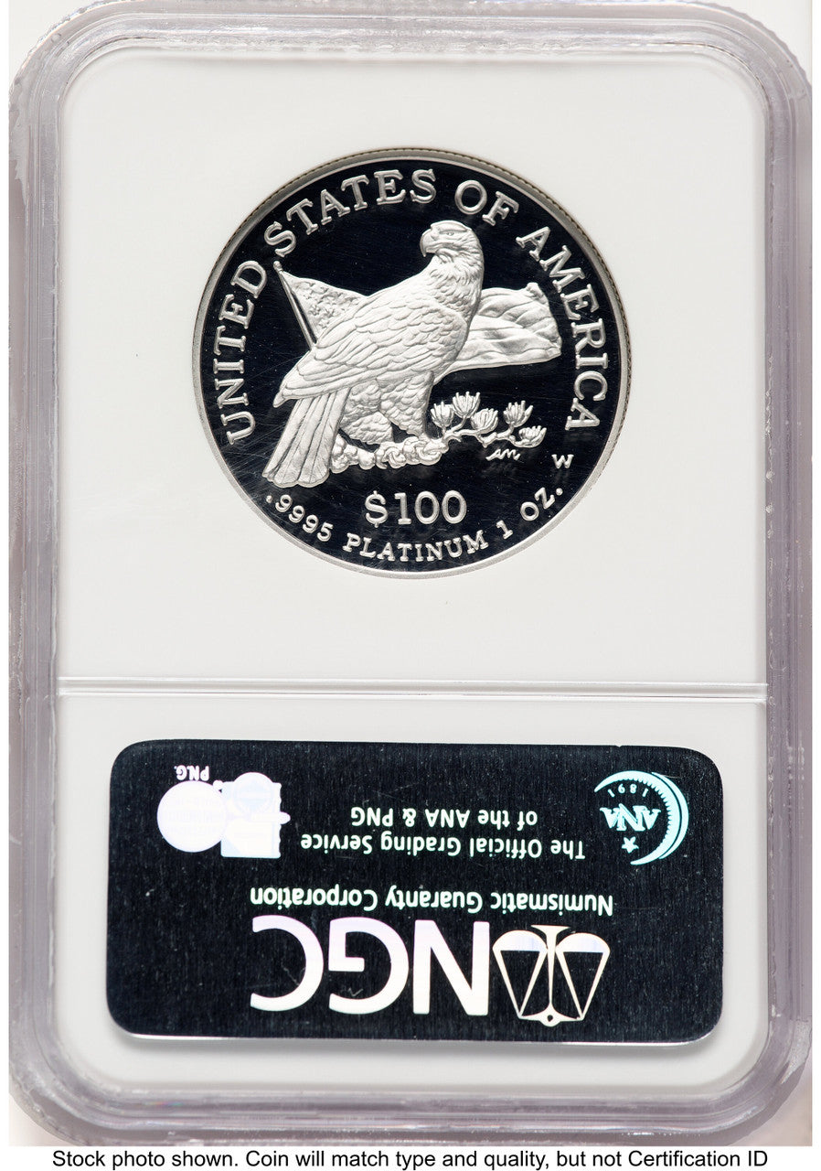 2003-W Proof Platinum Eagle 1 oz Brown Label NGC PF70