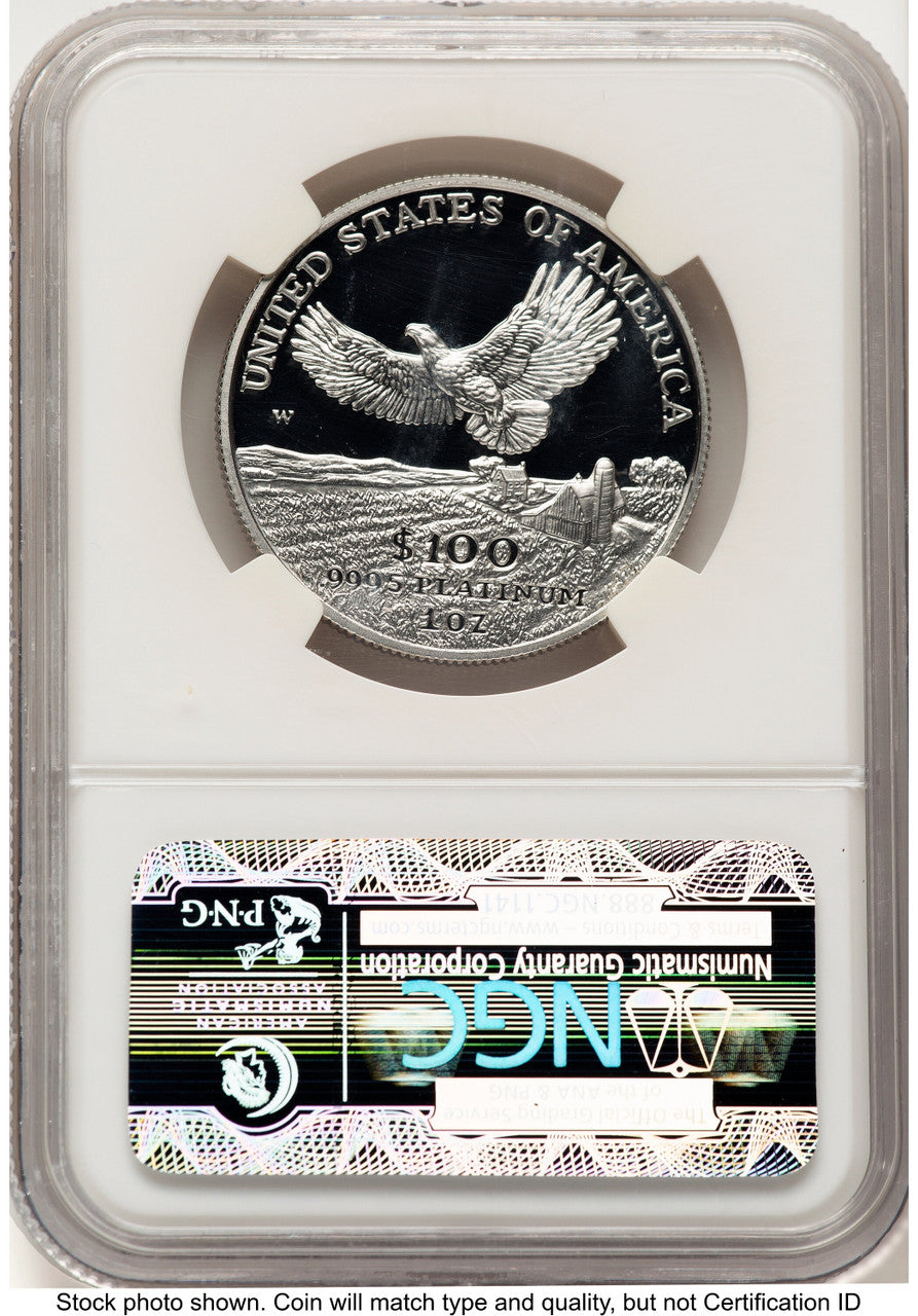 2000-W Proof Platinum Eagle 1 oz Brown Label NGC PF70