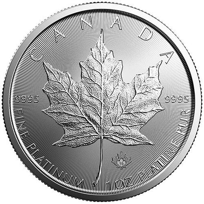 2019 1 oz Canadian Platinum Maple Leaf Coin