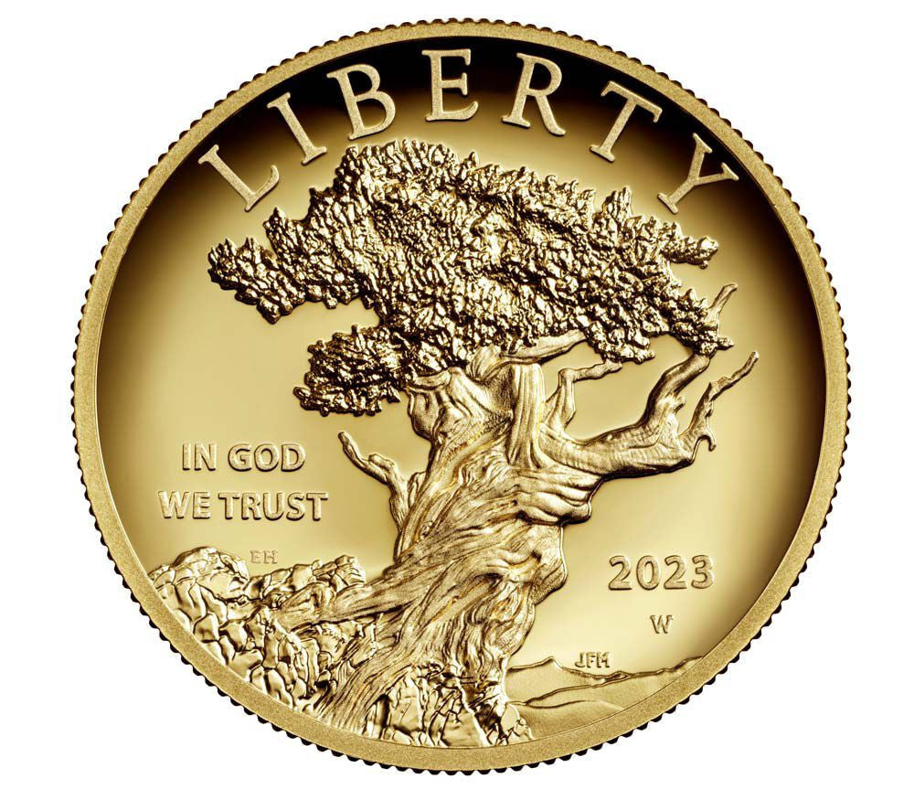 2023-W American Liberty Series High Relief .9999 Fine FDI PCGS PR70DCAM