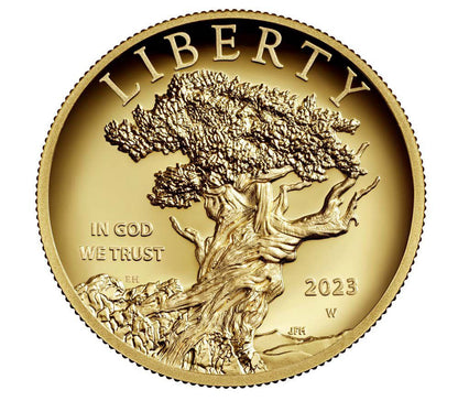 2023-W American Liberty Series High Relief .9999 Fine FDI PCGS PR70DCAM
