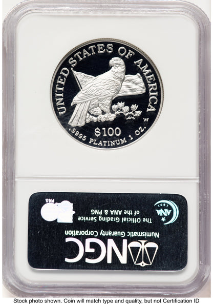 2003-W Proof Platinum Eagle 1 oz Brown Label NGC PF70