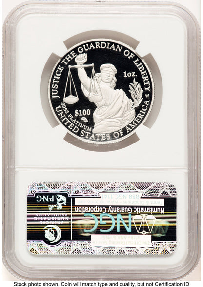 2010-W Proof Platinum Eagle 1 oz Brown Label NGC PF70 (522240063)
