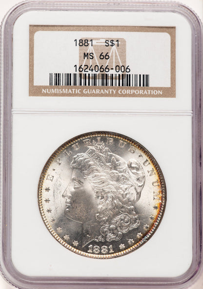 1881 Morgan Dollar NGC MS66 (522469004)