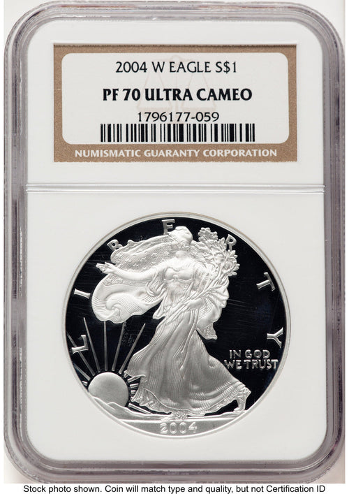 2004-W Proof Silver Eagle 1 oz Brown Label NGC PF70 (783243015)