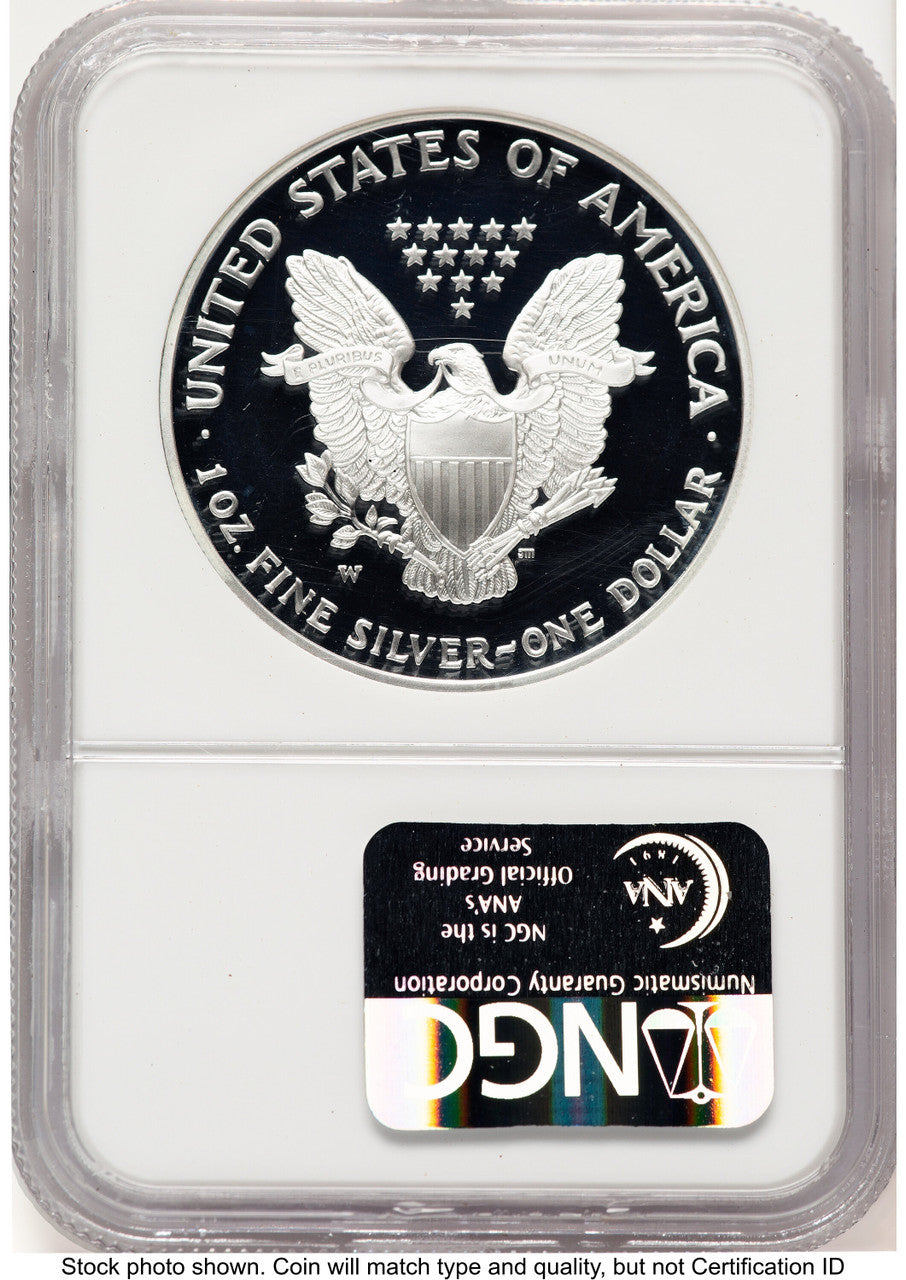 2004-W Proof Silver Eagle 1 oz Brown Label NGC PF70 (783243015)