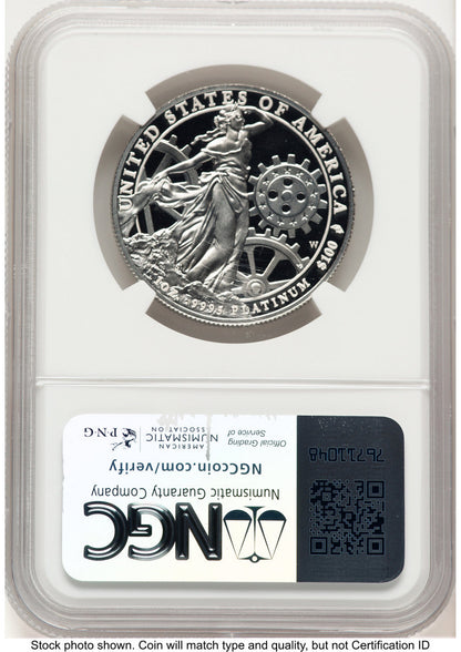 2013-W Proof Platinum Eagle 1 oz Brown Label NGC PF70
