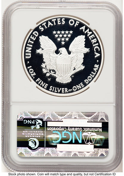 2010-W Proof Silver Eagle 1 oz Brown Label NGC PF70