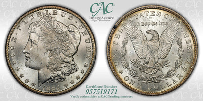 1884-CC $1 GSA Treasure Hoard Morgan Dollar CACG MS63